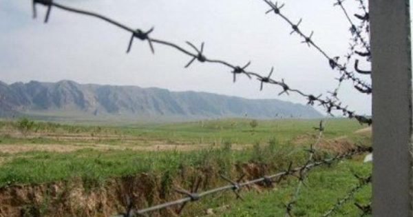 Azərbaycan-Gürcüstan sərhədində 14 nəfər tutuldu – 7-si uşaqdır