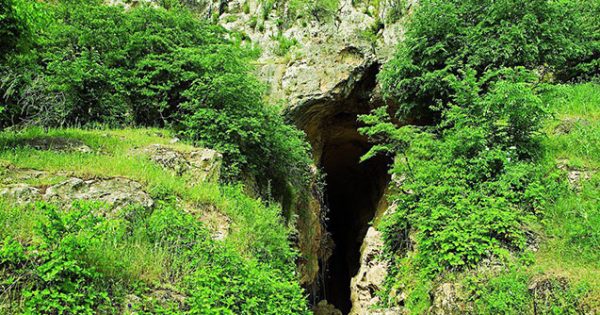 Azıx mağarasına aid arxeoloji tapıntılar Bakıya gətirildi