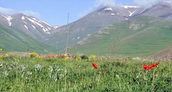 “Üç rəngli bayraq Azərbaycanın bütün torpaqlarında dalğalanacaq” – Türkiyənın Bakıdakı səfirliyi