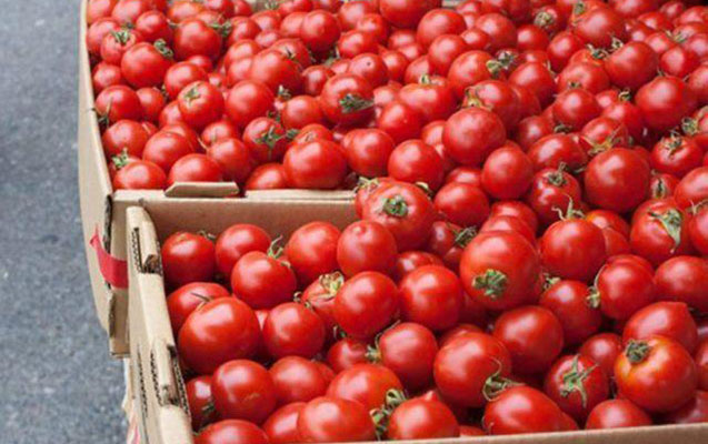 image-pomidor