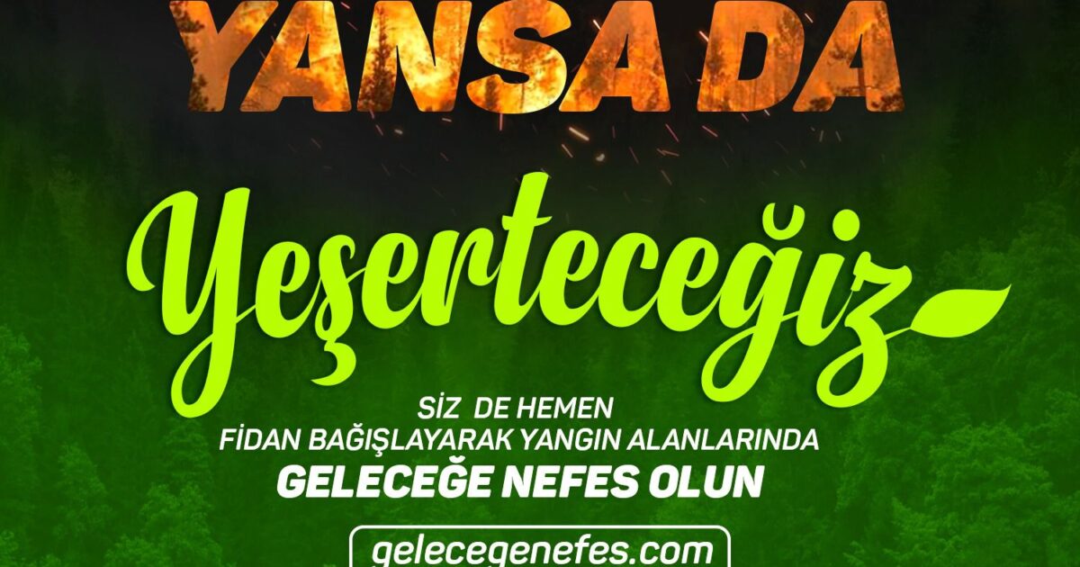image-tekurek