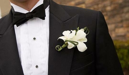 image-1674467459_1100854_01
