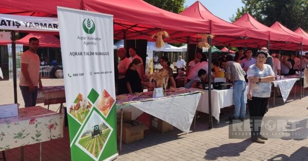 image-qusarda-aqrar-innovasiya-festivali