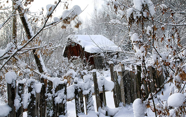 image-typical-russian-abandoned-snow-covered-village-in-winter-day