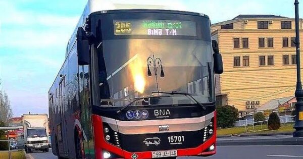 image-avtobus