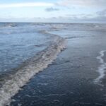 image-deniz