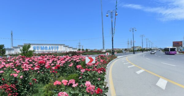 image-img_4115