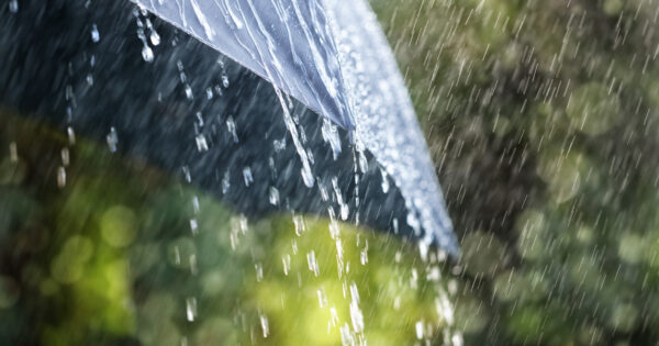 image-rain-on-umbrella