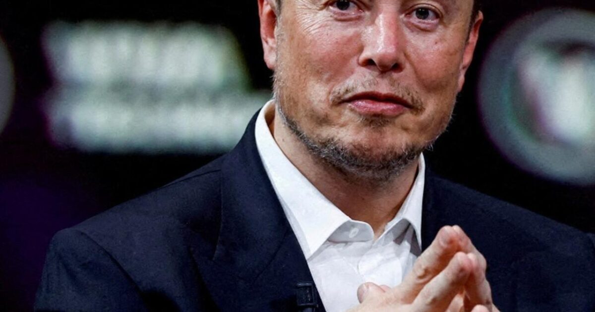 image-elonmusk-4