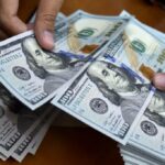 image-dollar55-3-jpg-1733985503