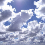 image-img_3946
