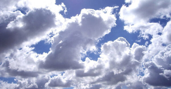 image-img_3946