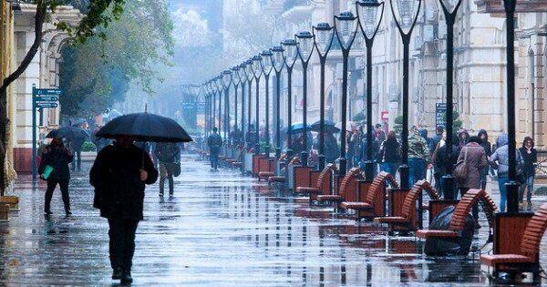 image-1669711511_ydy