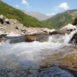 image-img_4181