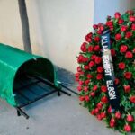 image-img_4249