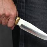 image-img_4451