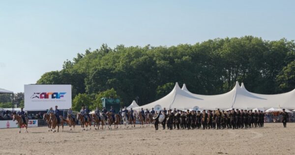 image-img_5015