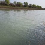 image-img_5680