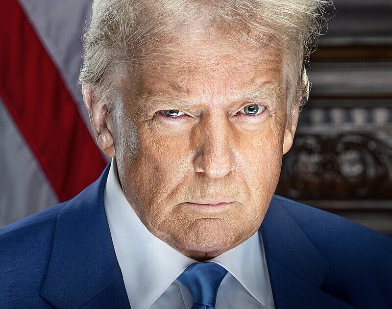 image-trumpportrait