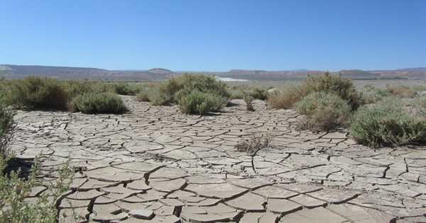 image-atacama