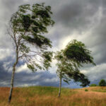 image-img_5938