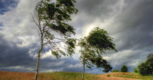 image-img_5938