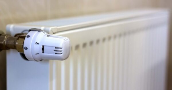 image-img_6061