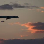 image-img_6905