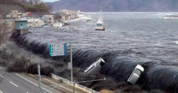 image-sunami-768x403