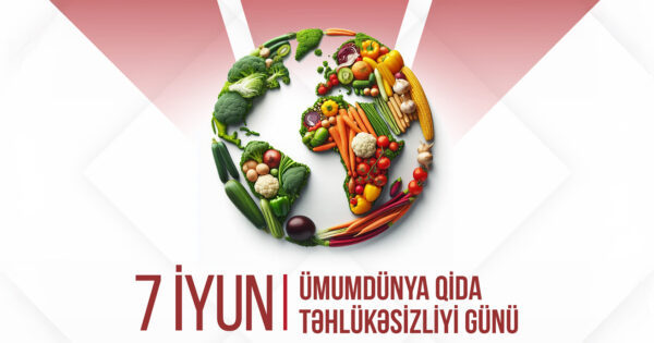 image-veysel3