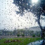 image-1751373805_1655093472_1654660372_rain_drops_trees_450651_2560x1600-1-1