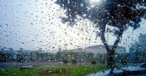 image-1751373805_1655093472_1654660372_rain_drops_trees_450651_2560x1600-1-1