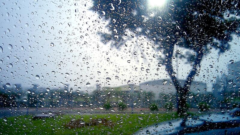 image-1751373805_1655093472_1654660372_rain_drops_trees_450651_2560x1600-1-1