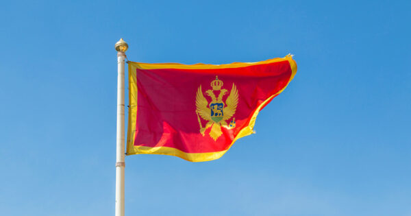 image-img_1294