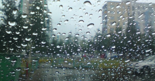 image-img_1464