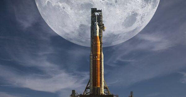 image-owl_detail_620_60e1b241b4990d01032c7c40a639c2d9