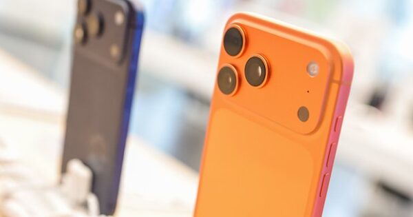 image-owl_detail_620_5c729a55d406257b00cadb64ec74448f