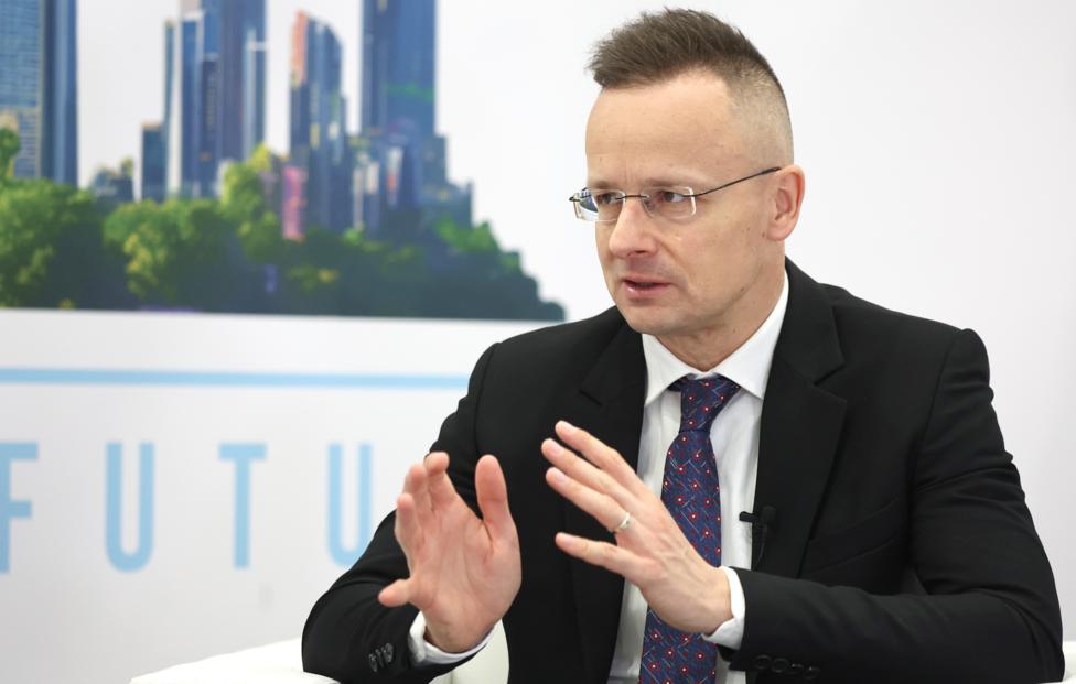 image-1764234530072938_2hsc2mh9