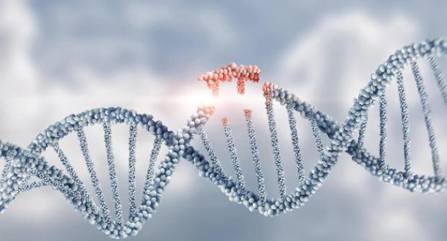 İnsan DNT-sində mutasiyaların ən çox baş verdiyi bölgə tapıldı 1 image-77