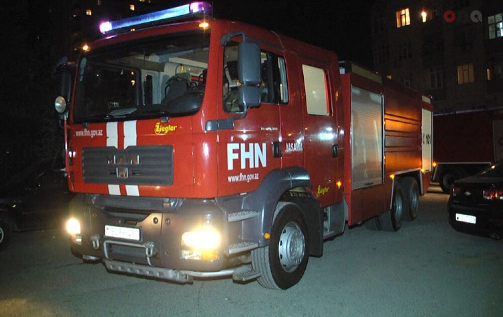 image-fhn_1763482769