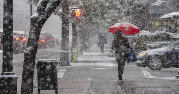 image-1766048318_qar