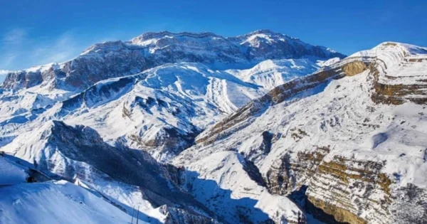 image-55bac692-12dc-32f6-8b7c-4e8ae2559874_825-1