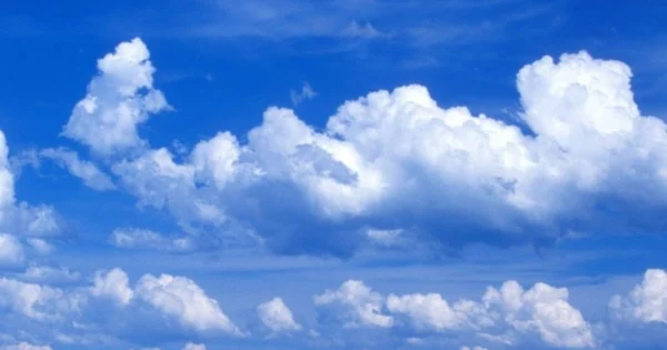 image-983cb638-c330-4341-bd3b-33f13a3f8ed9_825