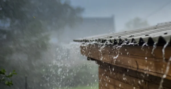 image-c561eab6-371f-3b13-8ef9-325d9529115a_825