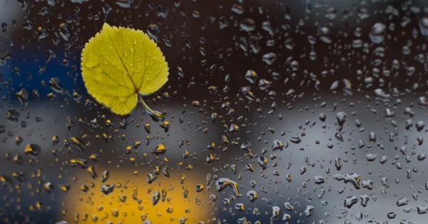 image-c95b27cd-8fe4-395b-b895-927c82724a85_825