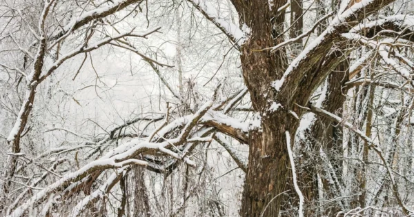 image-ea081482-a6bd-329e-9a36-935d7b593b02_825