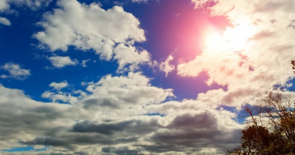 image-yd6hx0bm2afzlbxyre8ftt12ictuva9mam58sf3i_825