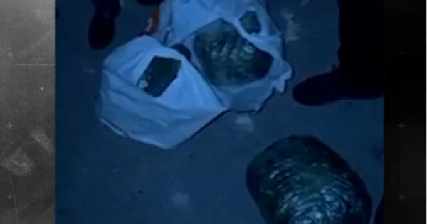 image-9ao693i5a5coz7kxbcfadufneikwddax5eoziyey_825