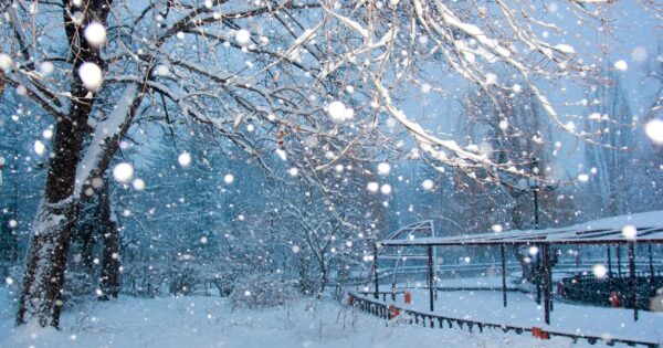 image-cenub-sayt-1-2