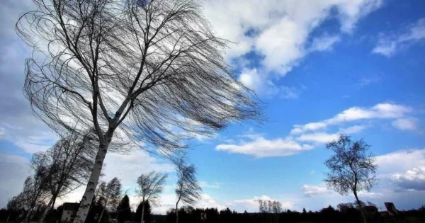 image-c308440a-1f65-3fec-a161-45d0f695b8ad_825